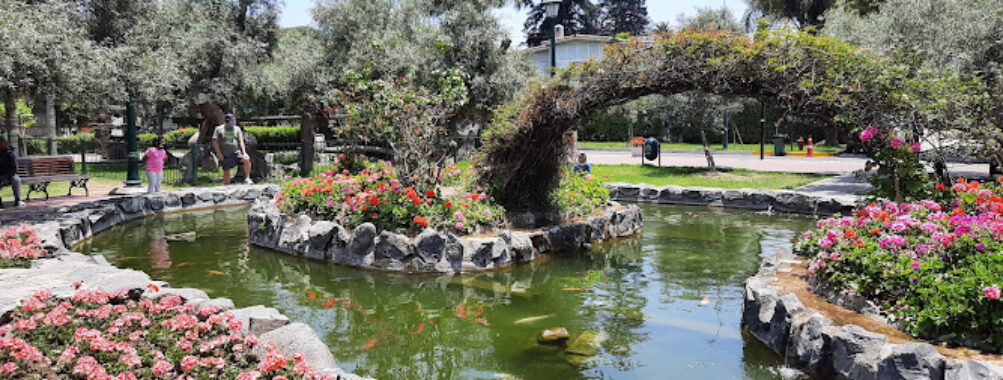 El Olivar de San Isidro Park Travel Forum Reviews