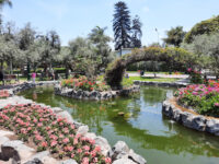 El Olivar de San Isidro Park Travel Forum Reviews