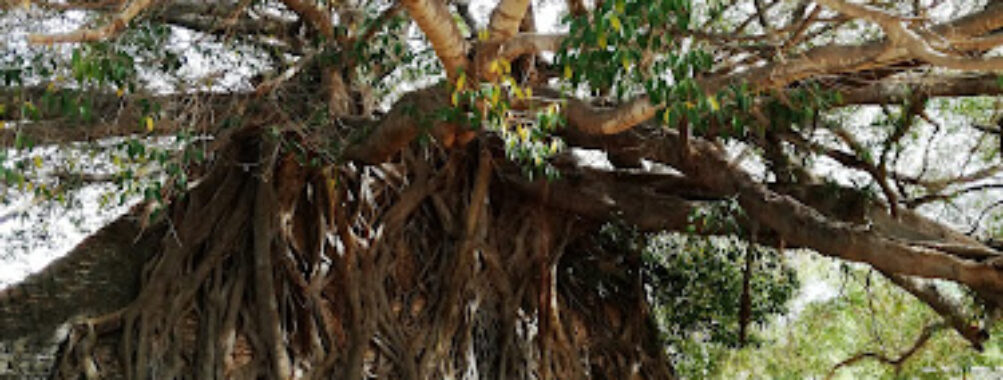 El Rebote Ecological Park Travel Forum Reviews