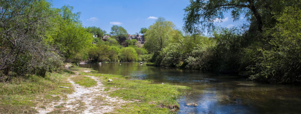 El Río verde Travel Forum Reviews