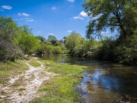 El Río verde Travel Forum Reviews