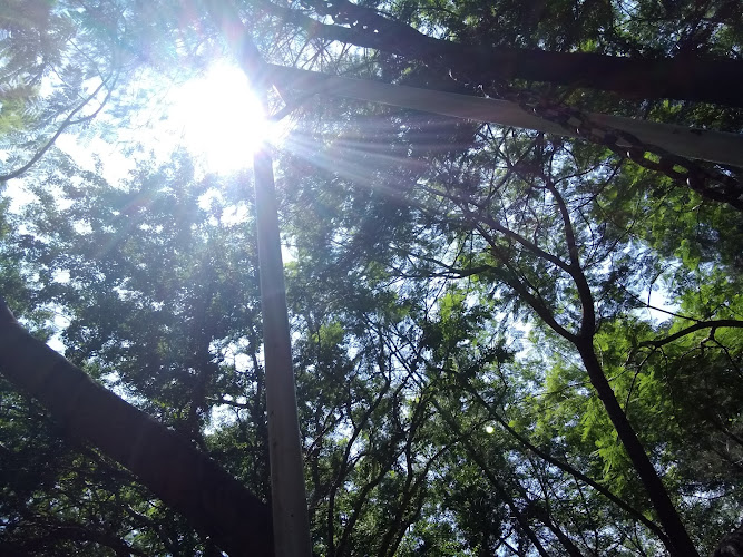El Salvial Ecological Park