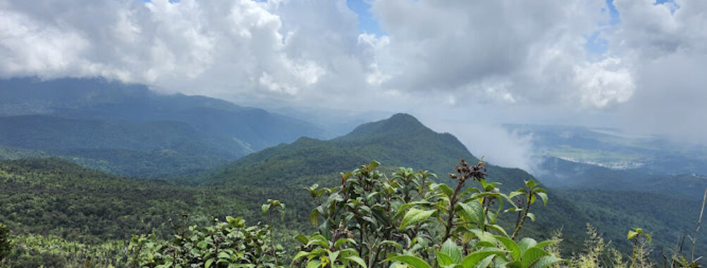 El Toro Peak Travel Forum Reviews