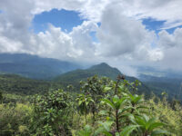 El Toro Peak Travel Forum Reviews