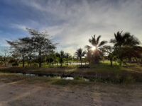 El Tule Travel Forum Reviews