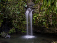 El Yunque National Forest Travel Forum Reviews