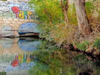 El pozito Travel Forum Reviews