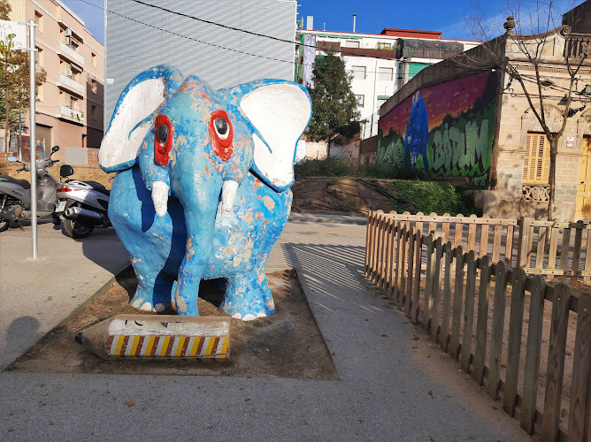 Elefant Arnau AUT