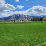 Elk Ridge Park