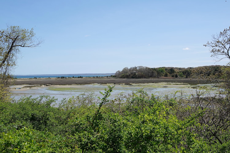 Ellisville Harbor State Park