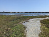 Elsie Roemer Bird Sanctuary Travel Forum Reviews