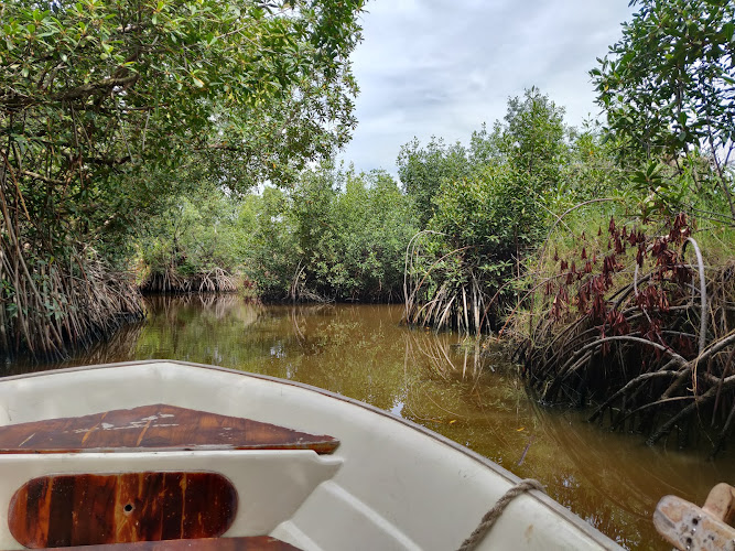 Embarcadaire pour Bab's Dock
