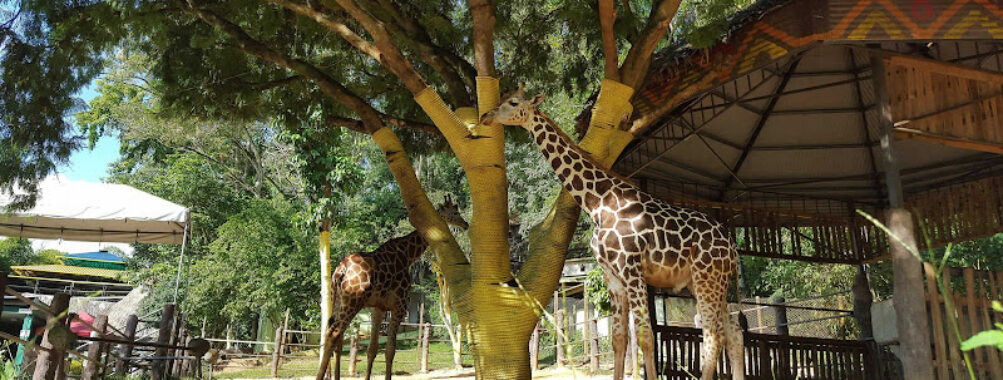 Emperor Valley Zoo Travel Forum Reviews