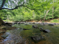 Eno River State Park Travel Forum Reviews