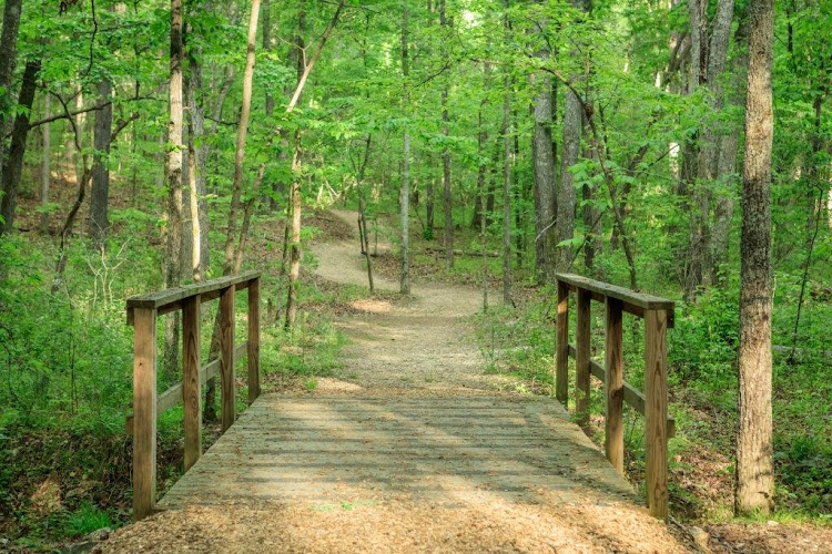 Enterprise South Nature Park