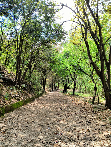 Environmental Park