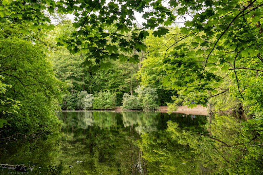 Environmental Quality