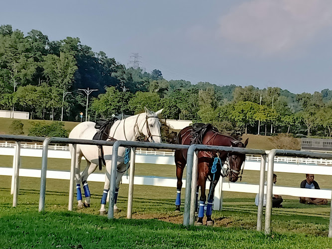Equestrian Park Putrajaya
