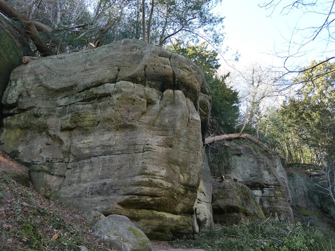 Eridge Rocks Nature Reserve