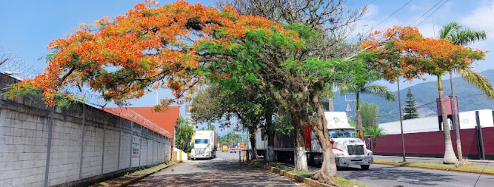 Escamela,Ixtaczoquitlán, Ver. Travel Forum Reviews