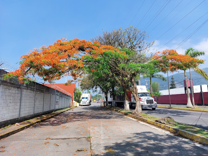 Escamela,Ixtaczoquitlán, Ver.