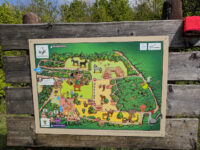 Escher Tier Park Travel Forum Reviews
