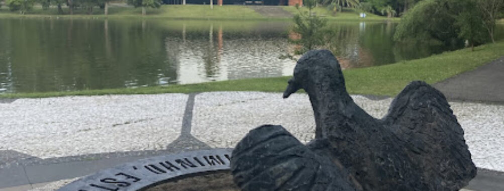 Escultura da Ave Travel Forum Reviews