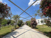 Esplanade de Guyancourt Travel Forum Reviews