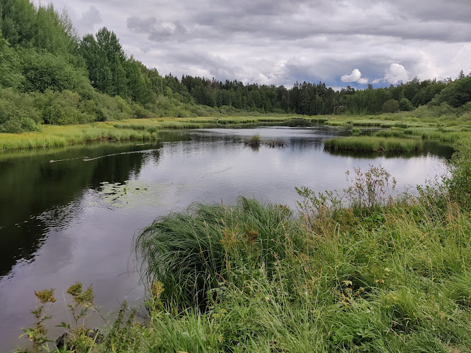Espoo Central Park