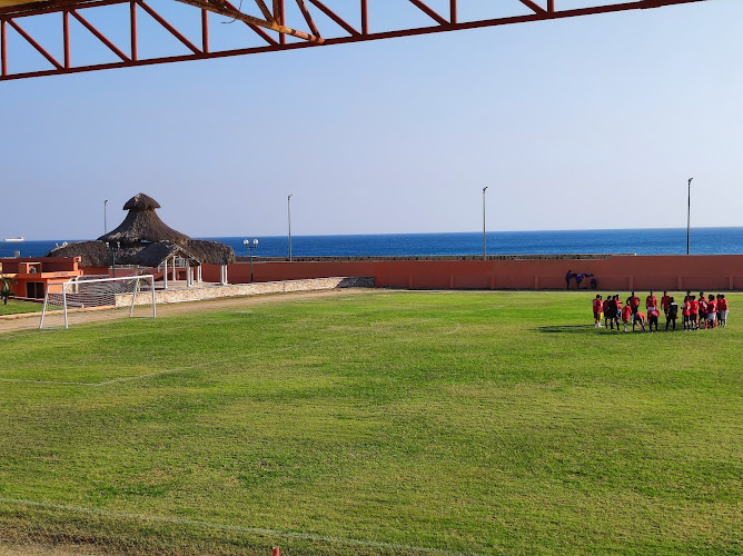 Estadio Heriberto Kehoe Vincent.