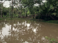 Estanque BUHO AMAZONAS Travel Forum Reviews