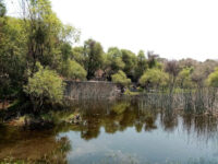 Estatal El Texcal Park Travel Forum Reviews
