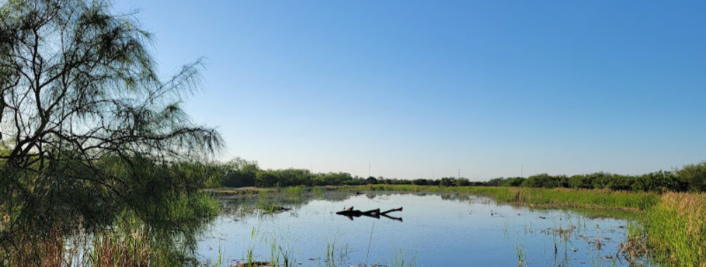 Estero Llano Grande State Park Travel Forum Reviews