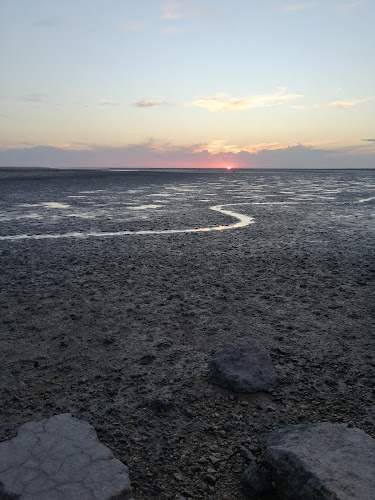 Estuario de la Bahía Blanca