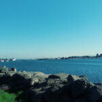 Estuary Park