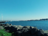 Estuary Park Travel Forum Reviews