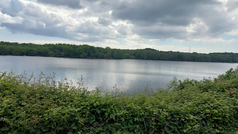Etang du TER