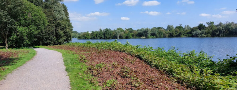 Etang du vignoble à Valenciennes Travel Forum Reviews
