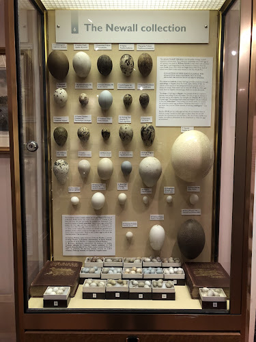 Eton College Natural History Museum