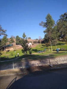 Eucalyptus Park