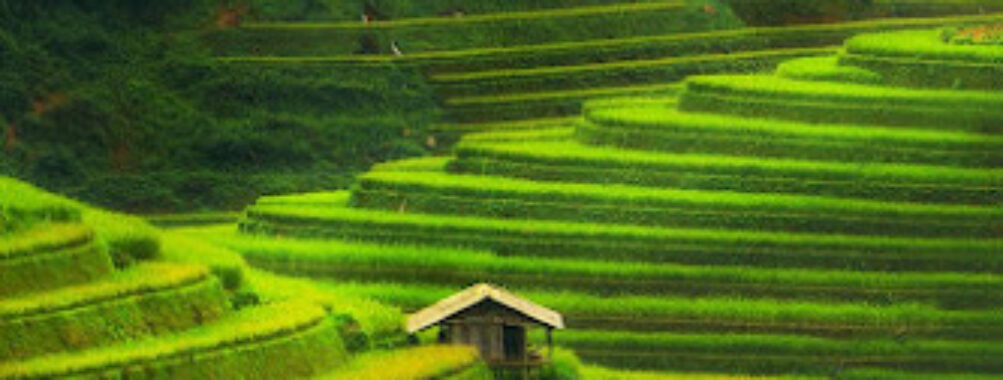Euro Vietnam Diving & Travel Travel Forum Reviews