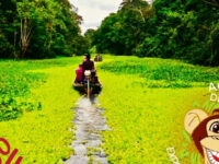 Experiencias Amazonicas Agencia Travel Forum Reviews