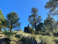 Exploremos Nuestro Hogar Travel Forum Reviews