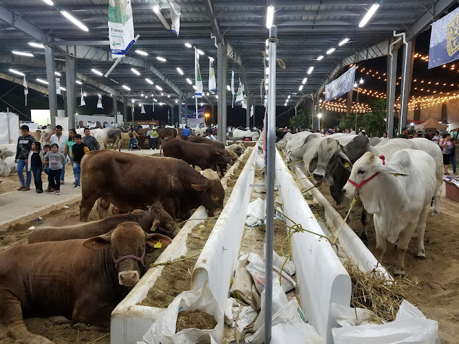 Expo Feria Tizimin Yucatan