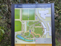 FIU Nature Preserve Travel Forum Reviews