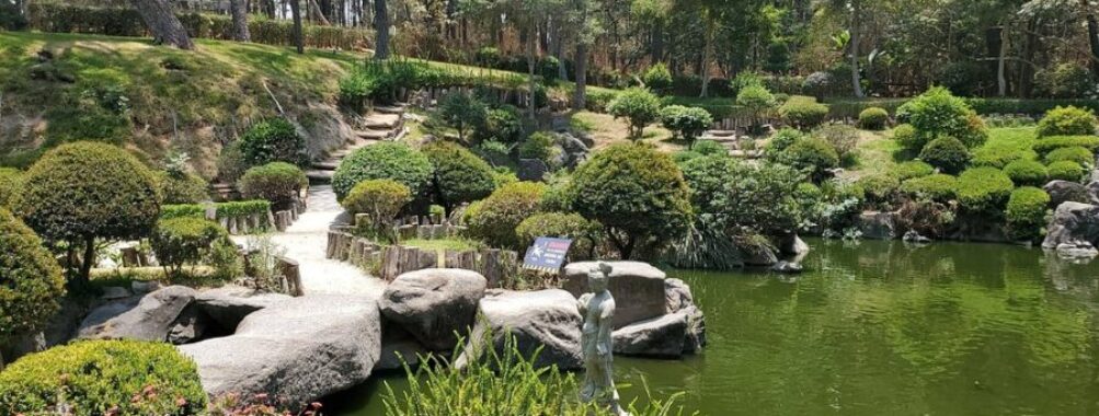 Jardin Japones in FOREST THE COLOMOS