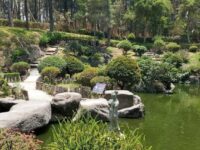 Jardin Japones in FOREST THE COLOMOS