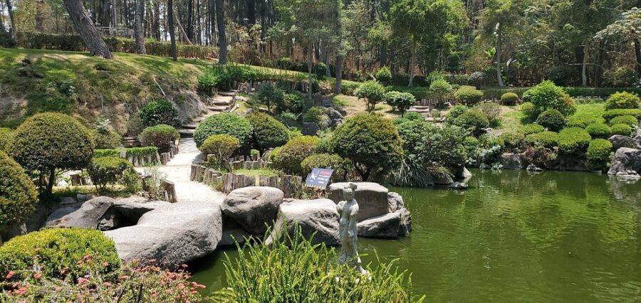 Jardin Japones in FOREST THE COLOMOS