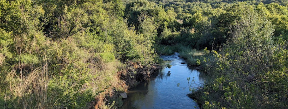 Faerie Glen Nature Reserve Travel Forum Reviews