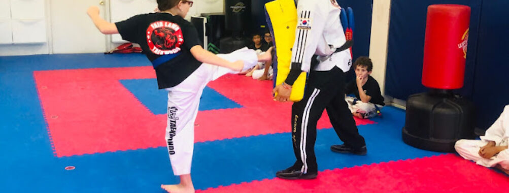Fair Lawn Tae Kwon Do Travel Forum Reviews